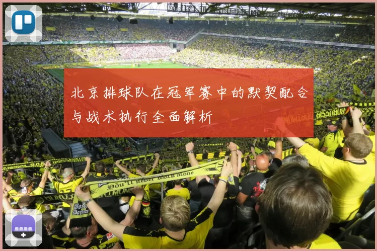 北京排球队在冠军赛中的默契配合与战术执行全面解析