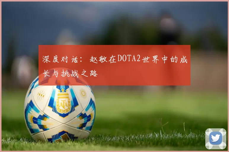 深度对话：赵敏在DOTA2世界中的成长与挑战之路