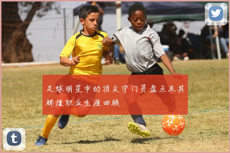 足球明星中的顶尖守门员盘点及其辉煌职业生涯回顾