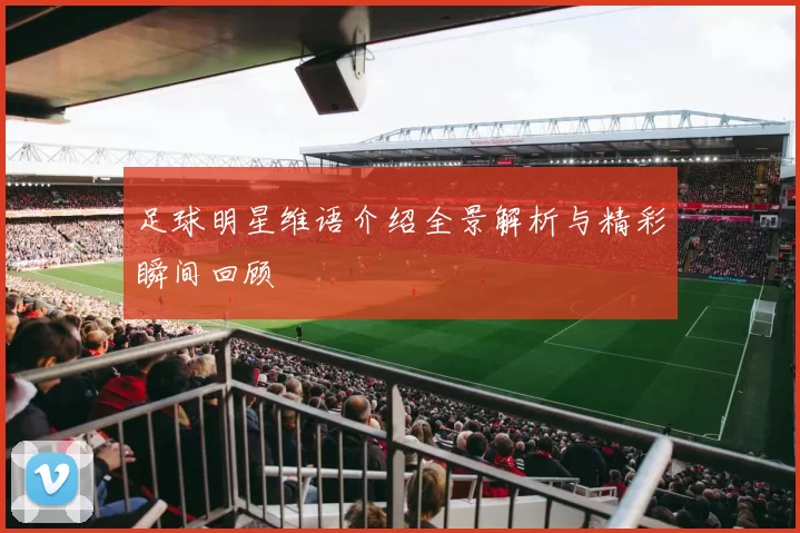 足球明星维语介绍全景解析与精彩瞬间回顾