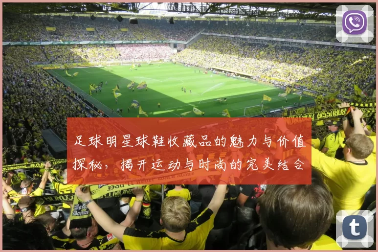 足球明星球鞋收藏品的魅力与价值探秘，揭开运动与时尚的完美结合