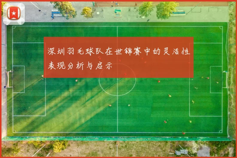 深圳羽毛球队在世锦赛中的灵活性表现分析与启示