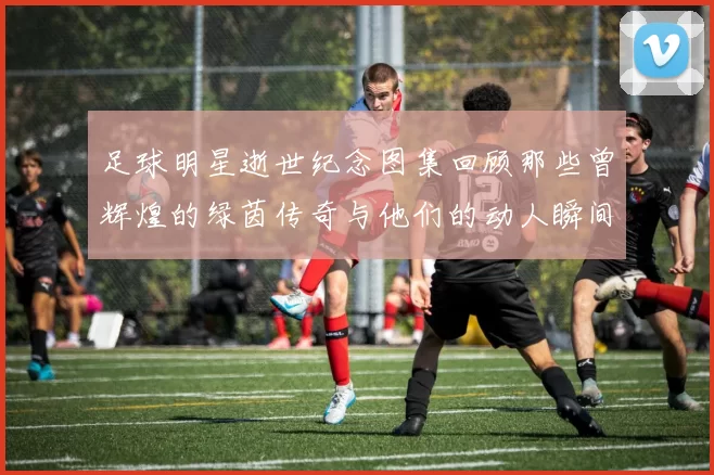 足球明星逝世纪念图集回顾那些曾辉煌的绿茵传奇与他们的动人瞬间