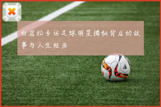 白岩松专访足球明星揭秘背后的故事与人生经历