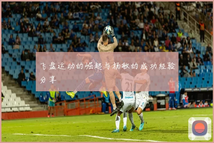 飞盘运动的崛起与杨敏的成功经验分享