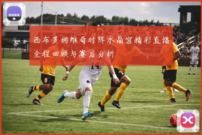 西布罗姆维奇对阵水晶宫精彩直播全程回顾与赛后分析