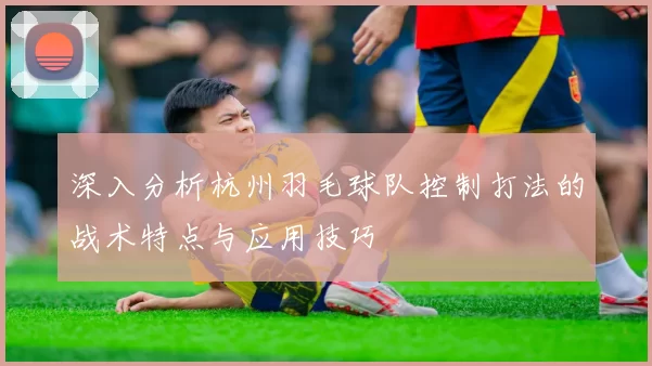 深入分析杭州羽毛球队控制打法的战术特点与应用技巧