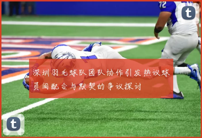 深圳羽毛球队团队协作引发热议球员间配合与默契的争议探讨