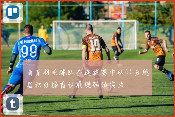 南京羽毛球队在选拔赛中以66分稳居积分榜首位展现强劲实力