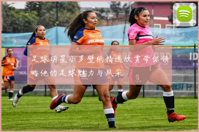 足球明星小罗壁纸精选欣赏带你领略他的足球魅力与风采