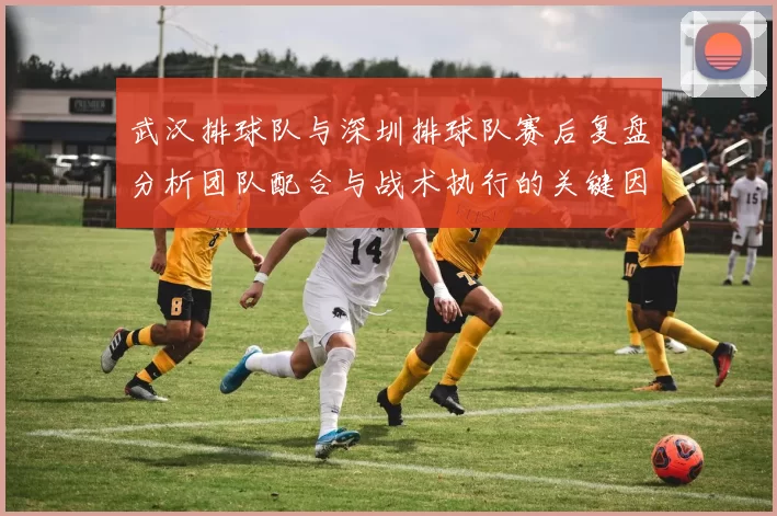 武汉排球队与深圳排球队赛后复盘分析团队配合与战术执行的关键因素