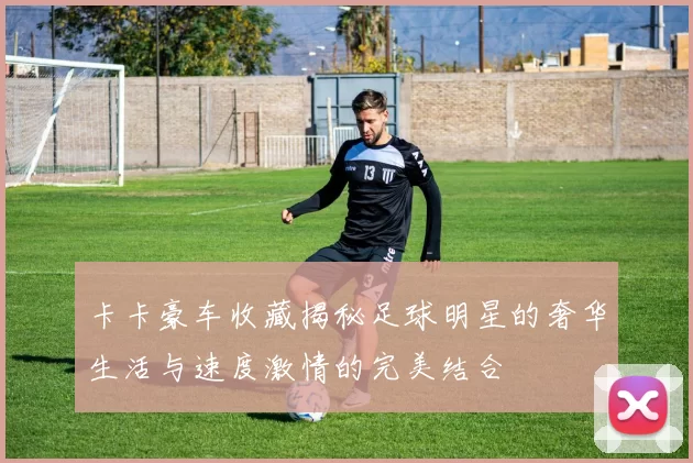 卡卡豪车收藏揭秘足球明星的奢华生活与速度激情的完美结合