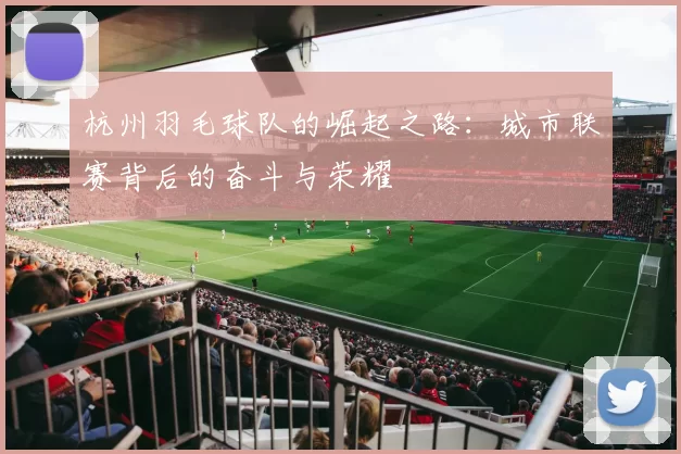 杭州羽毛球队的崛起之路：城市联赛背后的奋斗与荣耀