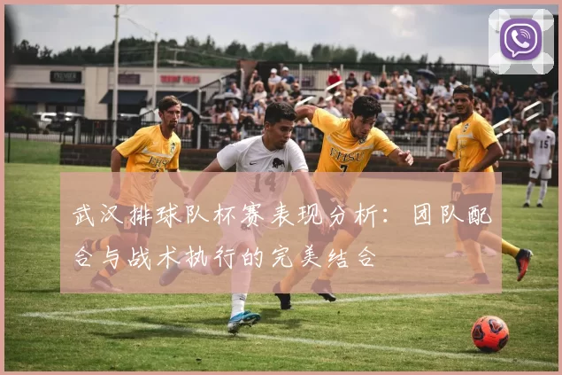 武汉排球队杯赛表现分析：团队配合与战术执行的完美结合