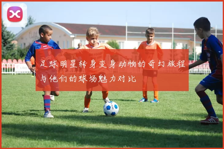 足球明星转身变身动物的奇幻旅程与他们的球场魅力对比