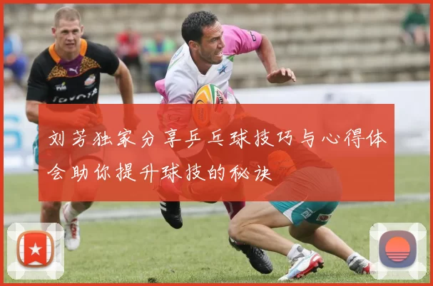 刘芳独家分享乒乓球技巧与心得体会助你提升球技的秘诀