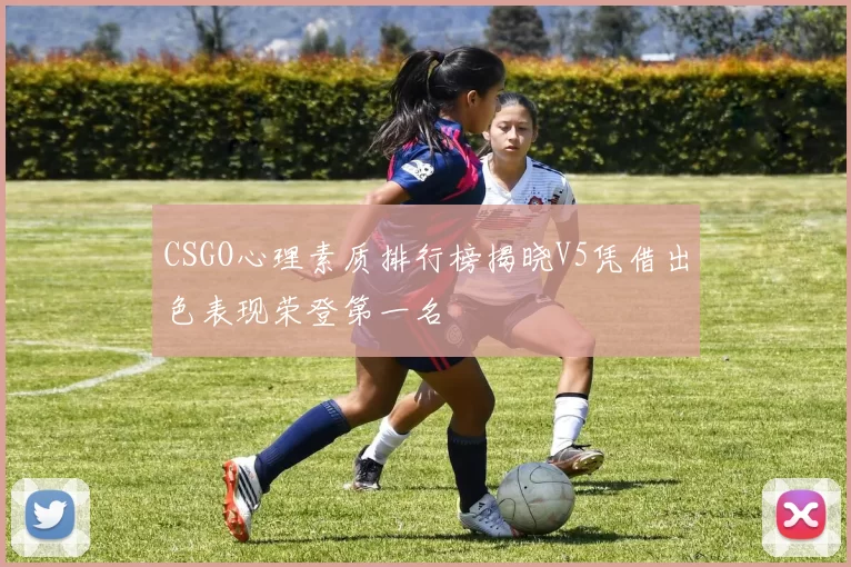 CSGO心理素质排行榜揭晓V5凭借出色表现荣登第一名
