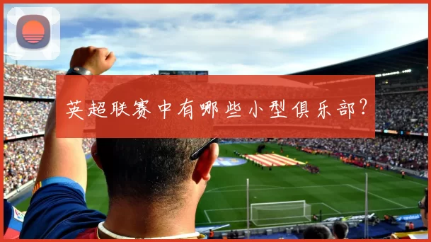 英超联赛中有哪些小型俱乐部？