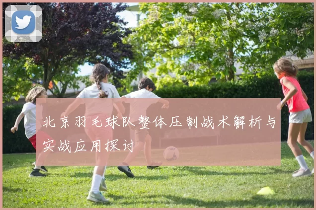 北京羽毛球队整体压制战术解析与实战应用探讨