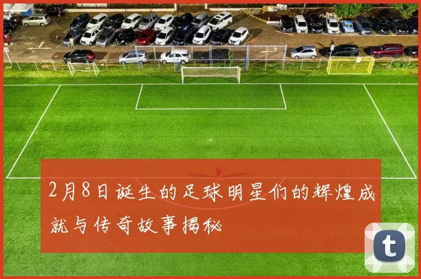 2月8日诞生的足球明星们的辉煌成就与传奇故事揭秘