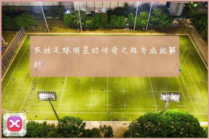 农姓足球明星的传奇之路与成就解析